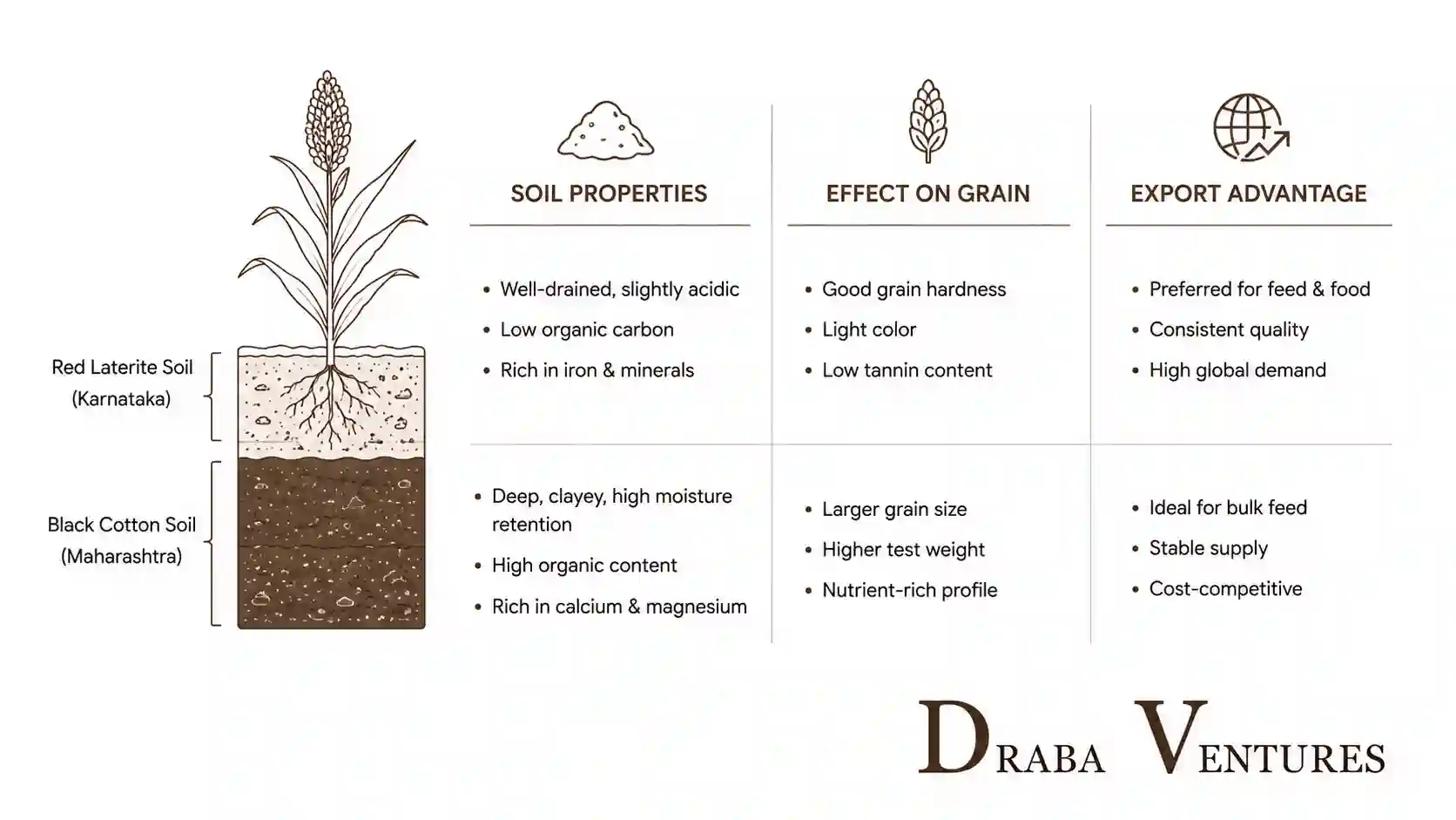 black cotton soil impact sorghum density